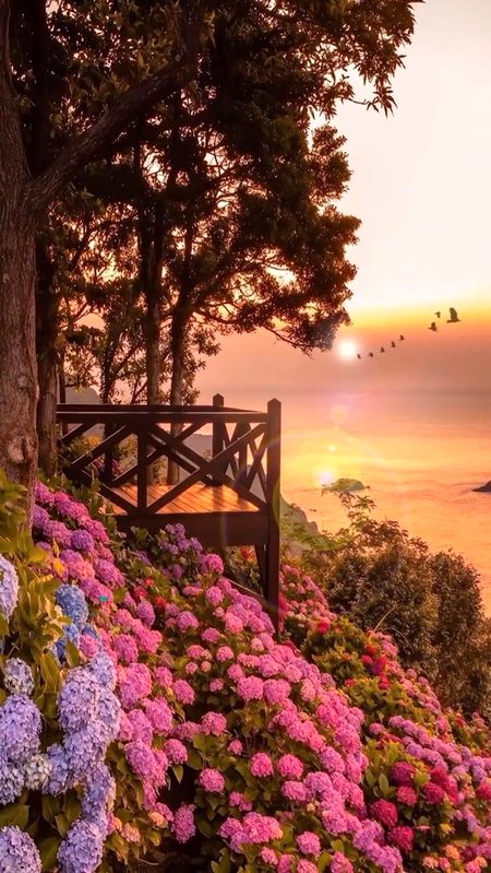 Beautiful Nature image