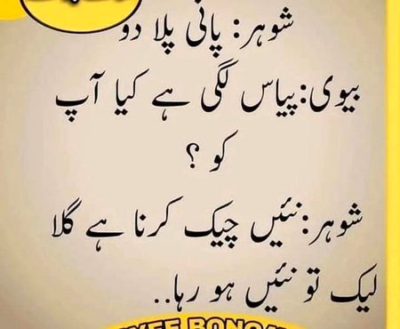 All Hasbend
💫💥🌟🙏🙏