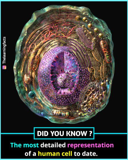 Interesting Posts image