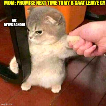 Memes & Satire image