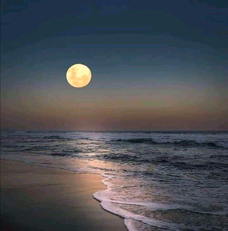 Beautiful Nature image