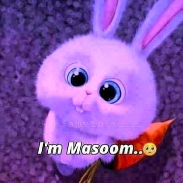 Masoom . 🙈🙈