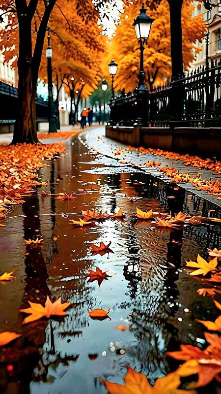 Beautiful Nature image