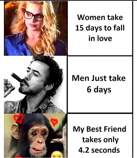 Memes & Satire image