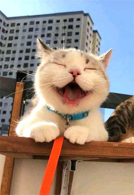 Beautiful Nature image