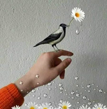 beautiful nature