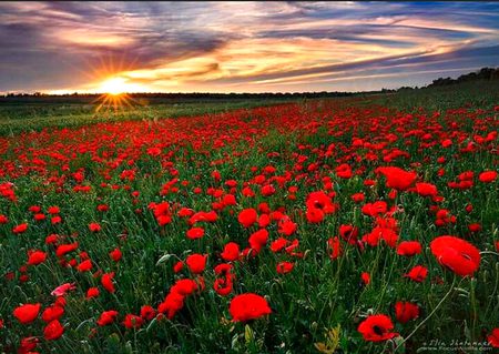 Beautiful Nature image