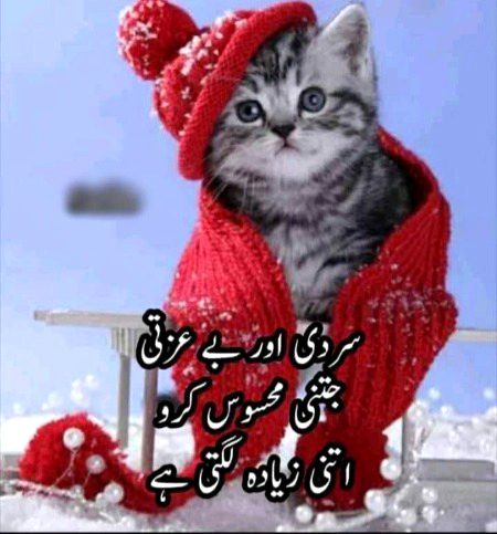 Jokes image