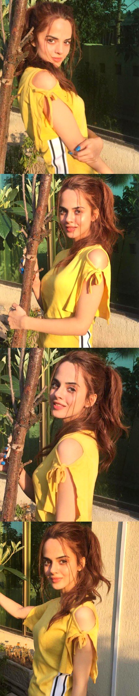 Pakistani Celebs image