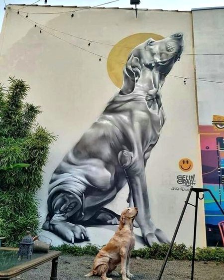 Street Art image