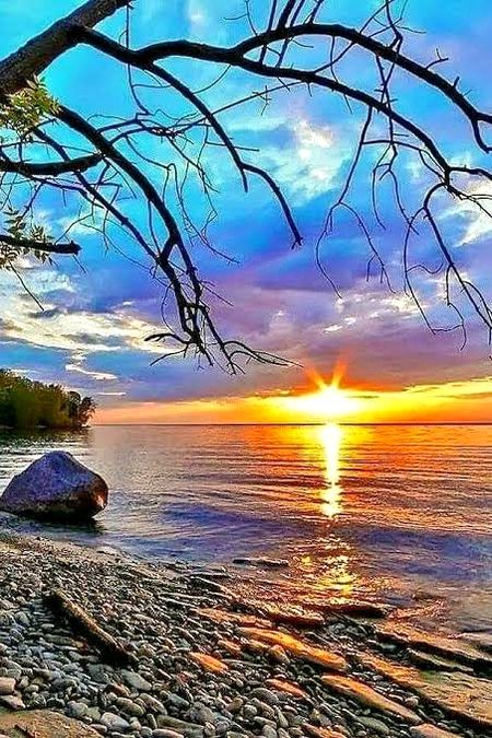 Beautiful Nature image