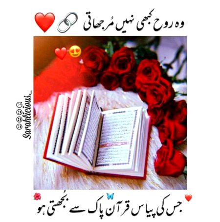 Beshak 💕💕