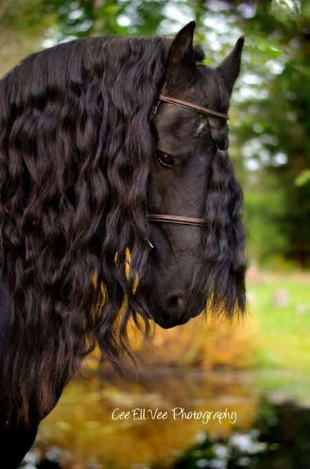 Beautiful Nature image