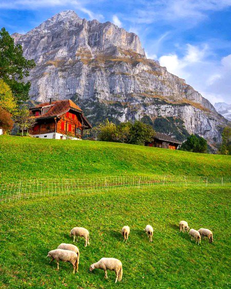 Beautiful Nature image