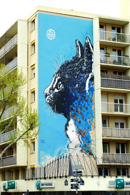 Street Art image