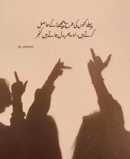 Attitude Poetry image