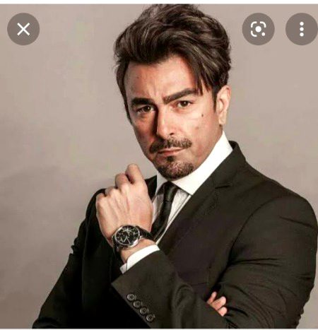 Pakistani Celebs image