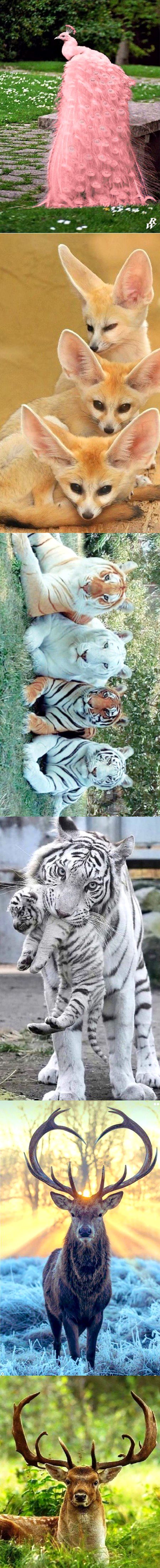 Beautiful Nature image