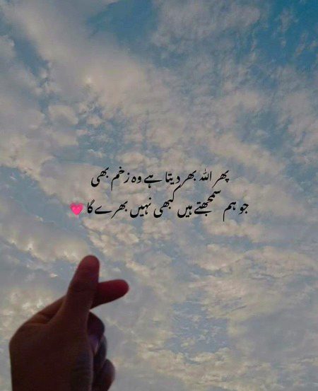 🥀🥀,!;:;;
