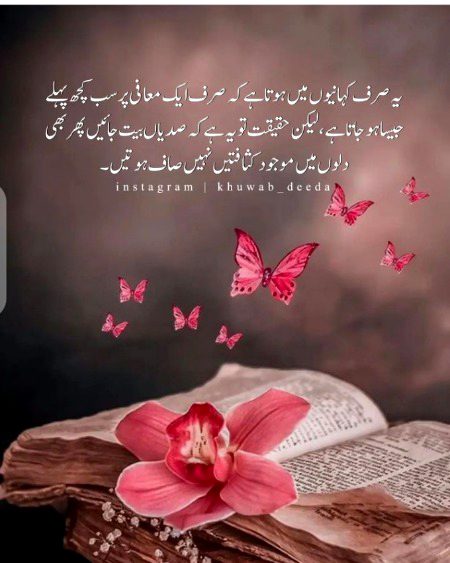 حقیقت یہی ہے