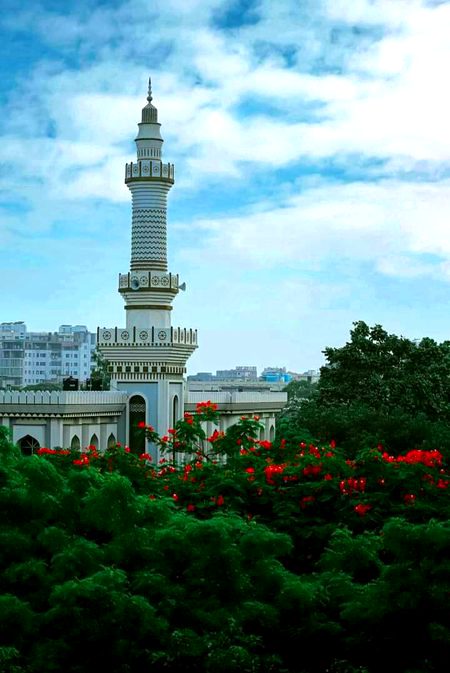 Beautiful Structures image