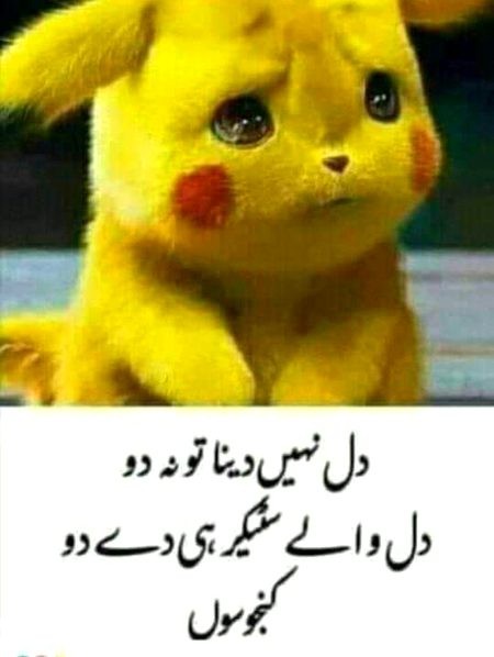 Faryaad kni