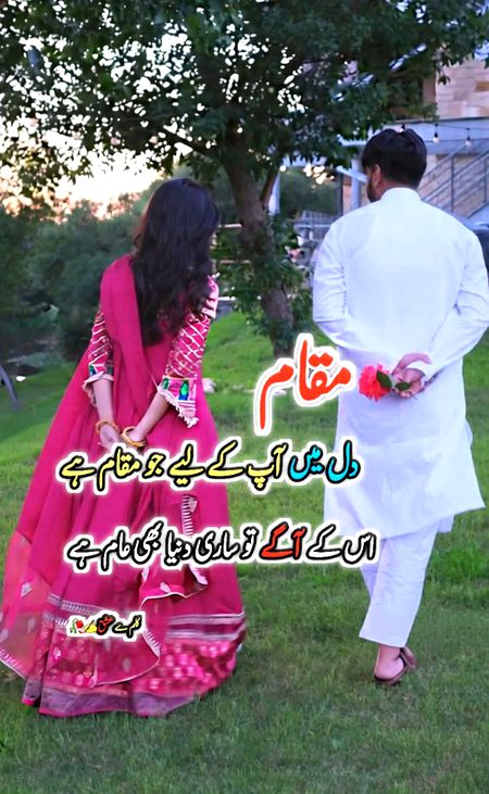 ❤️❤️❤️❤️❤️