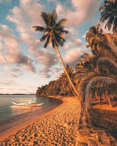 Beautiful Nature image