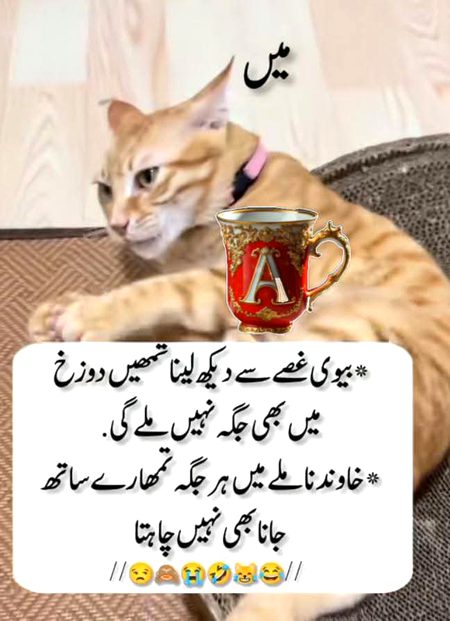 Jokes image