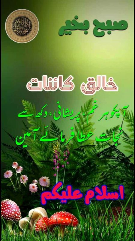 Muskii jana