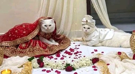 لگا کے میرے دل پے اپنی یادوں کے کنٹینر 
تونے میرے دل کو اسلام آباد بنا دیا🤧🙊