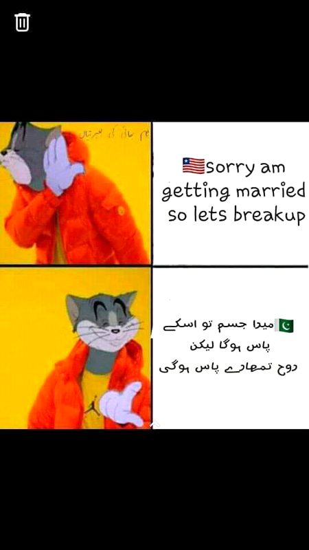 gvfkjfgbx