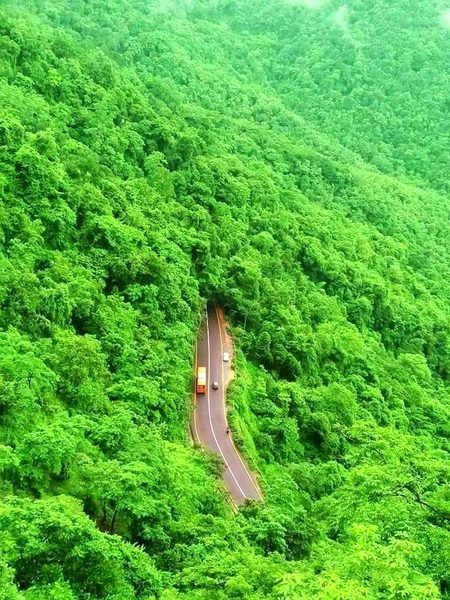 Beautiful Nature image