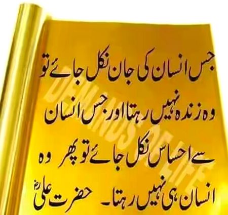 TRUE SAY