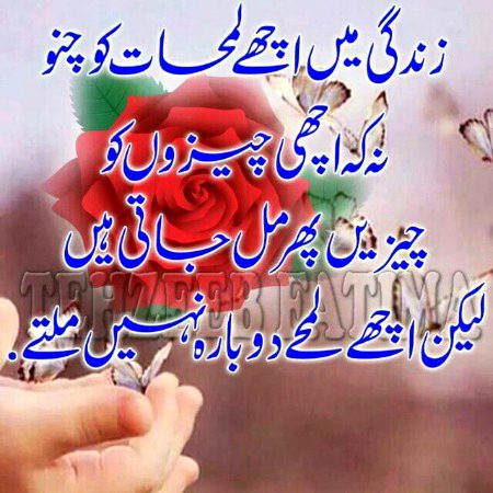 No Caption 🌺🌺🌺