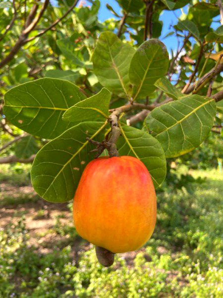 خاموشی بھی ایک جواب ہوتی ہے، بس سمجھنے والا چاہیے۔