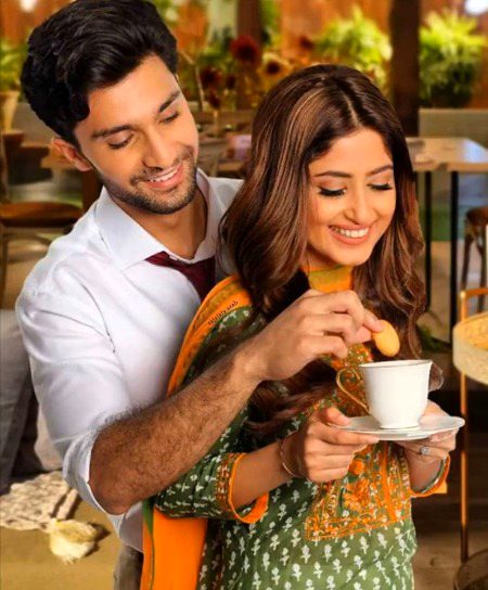 Pakistani Celebs image