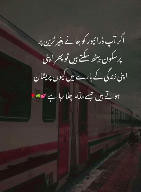 Life Advice image