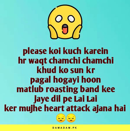 Damadam Roasting image