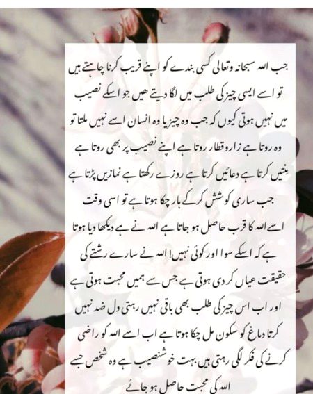 Islamic Quotes image