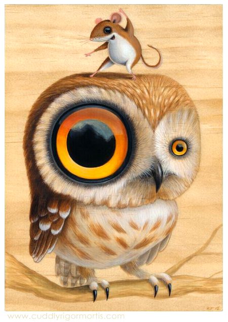 Beautiful Nature image