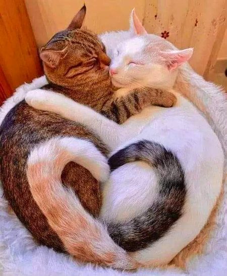 Beautiful Nature image