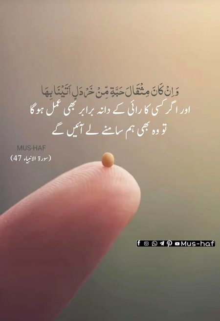 Islamic Quotes image