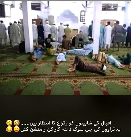Iqbal ki shaheen