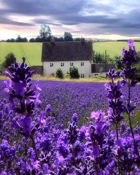 Beautiful Nature image