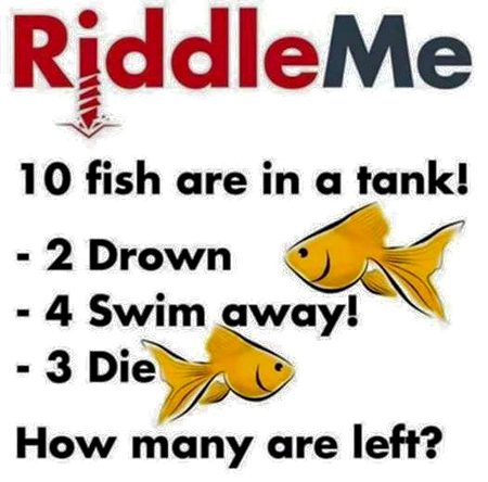 Riddles & Puzzles image