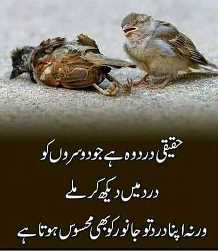 Motivational Quotes image