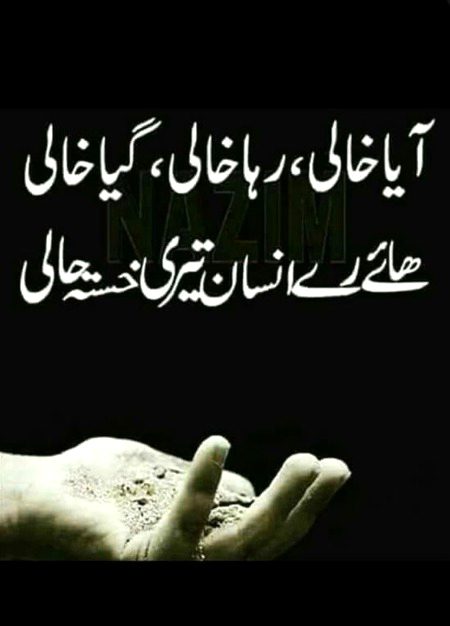 🌹 merijan-16 🌹
Insan ki tini or kia kia khuwaishat hoti hen mgr 😭😭