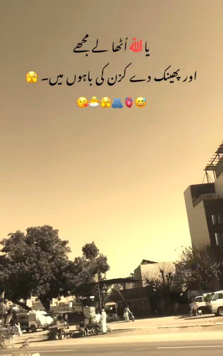 Memes & Satire image