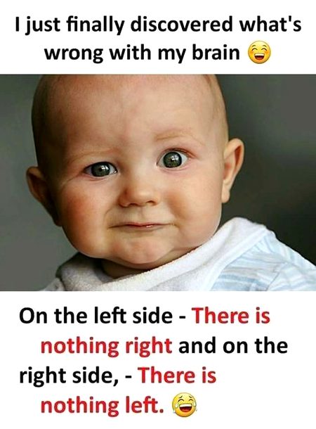 Memes & Satire image